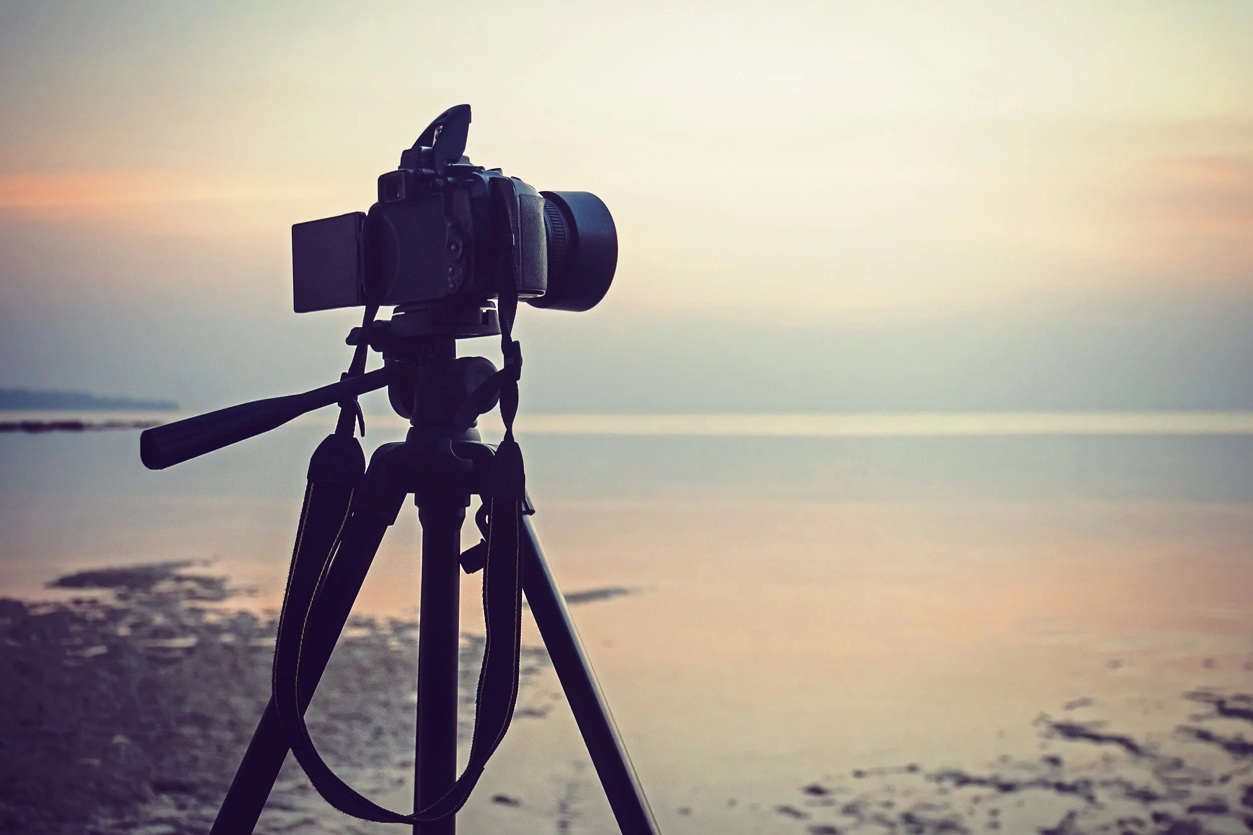 How to Start a Photography Business: My Step-by-Step Guide from Experience